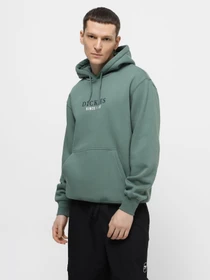 Худі та світшоти Dickies Park модель DK0A4YEHH151 Фото