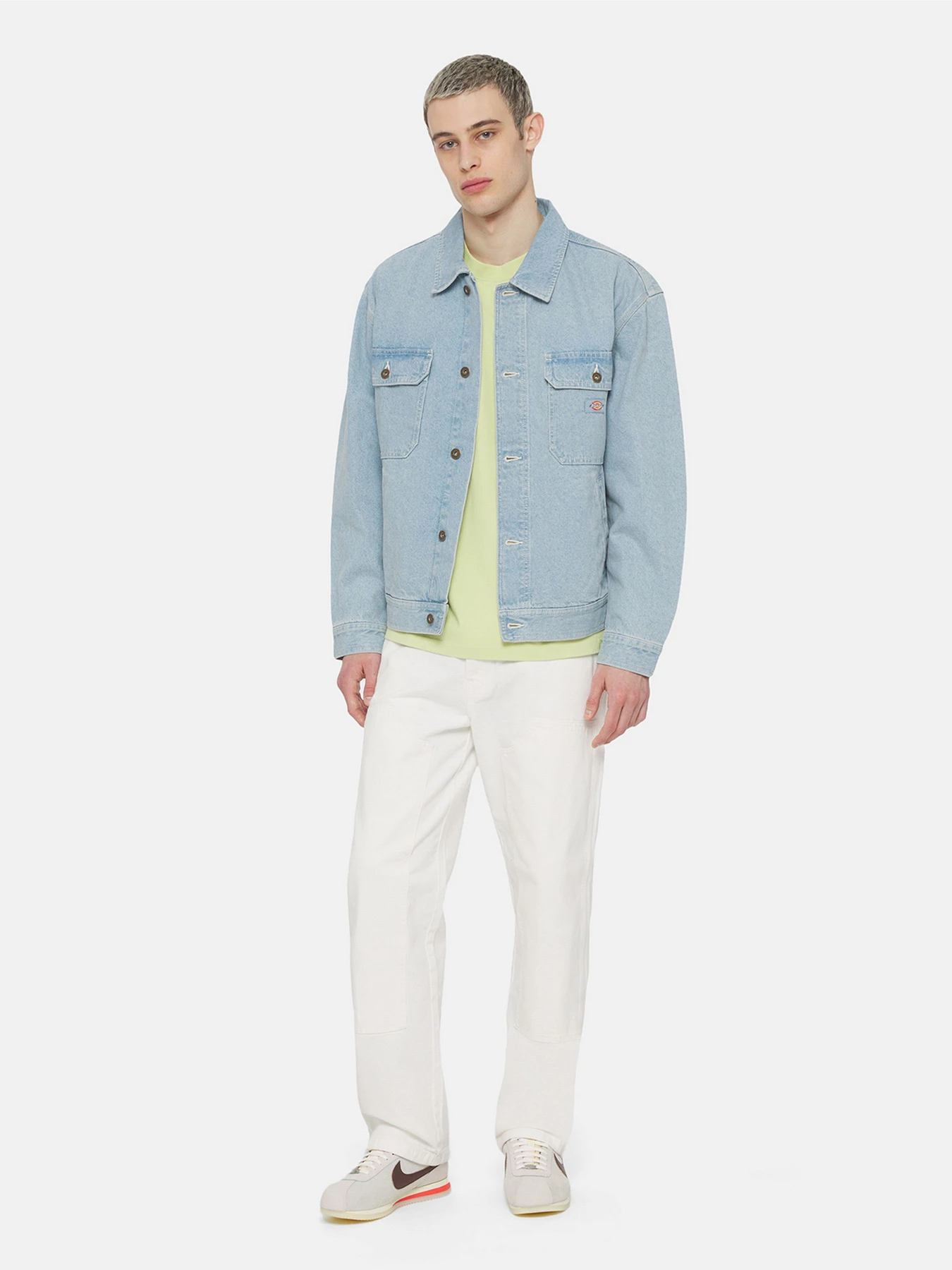 Куртки и дубленки Dickies Madison модель DK0A4YERC151 Куртки и дубленки Dickies Madison модель DK0A4YERC151 Фото