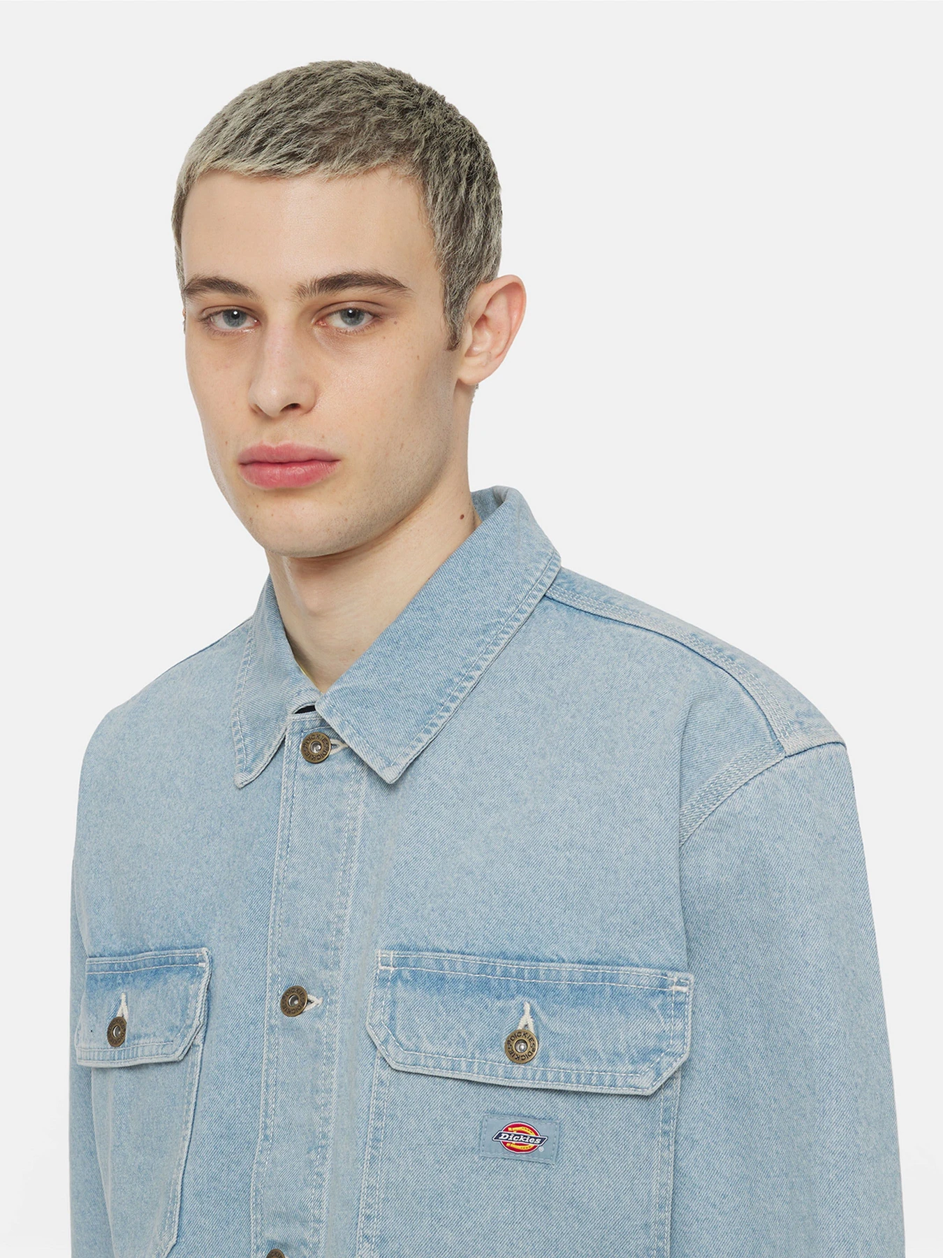 Куртки и дубленки Dickies Madison модель DK0A4YERC151 Куртки и дубленки Dickies Madison модель DK0A4YERC151 Фото