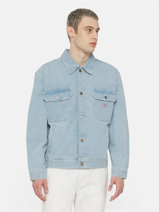 Куртки та дублянки Dickies Madison модель DK0A4YERC151 Фото