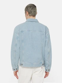 Куртки и дубленки Dickies Madison модель DK0A4YERC151 Фото