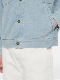 Куртки и дубленки Dickies Madison модель DK0A4YERC151 Фото