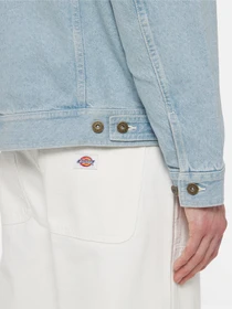 Куртки и дубленки Dickies Madison модель DK0A4YERC151 Фото