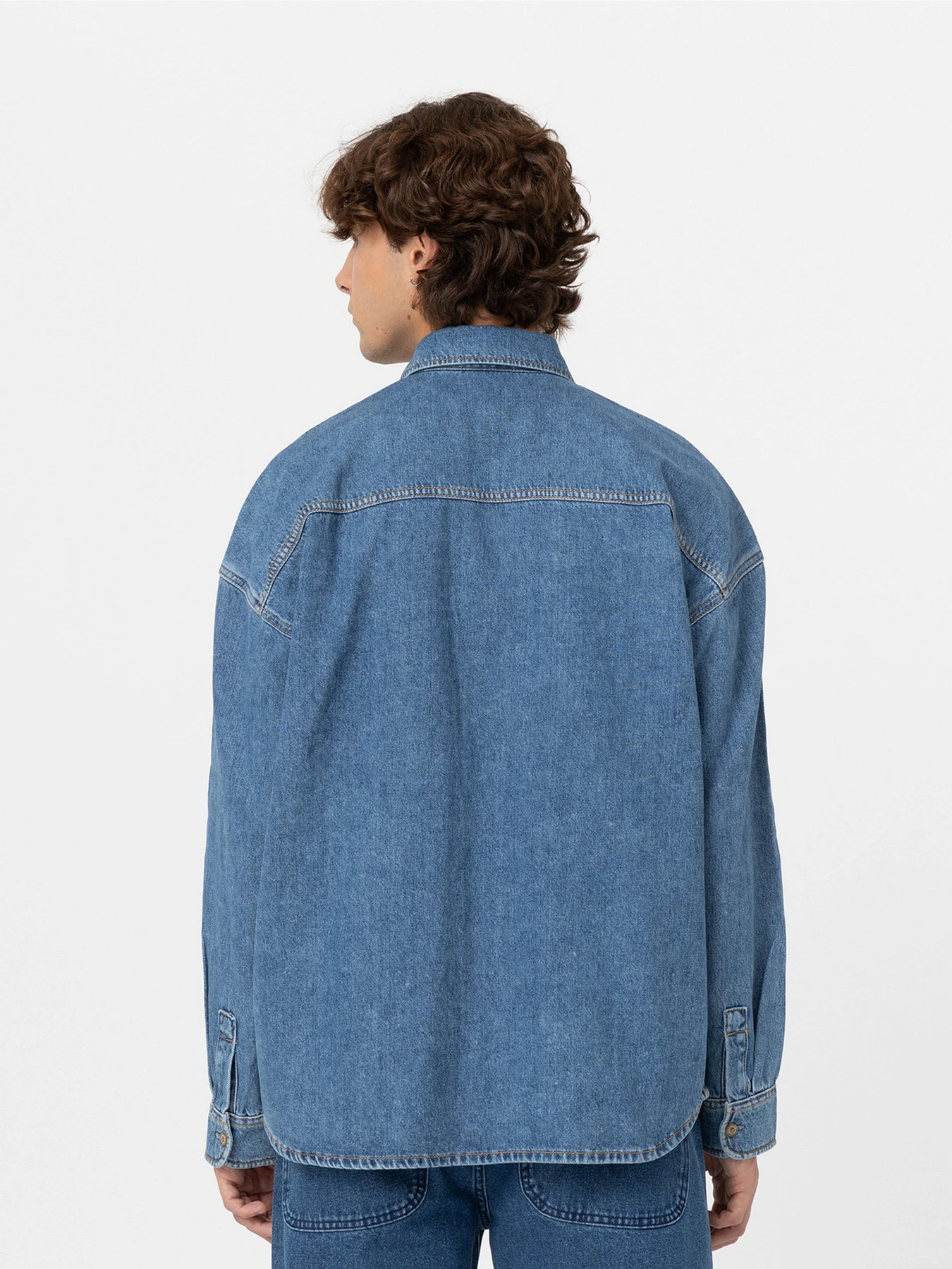 Рубашки Dickies Houston модель DK0A4YF5CLB1 Фото