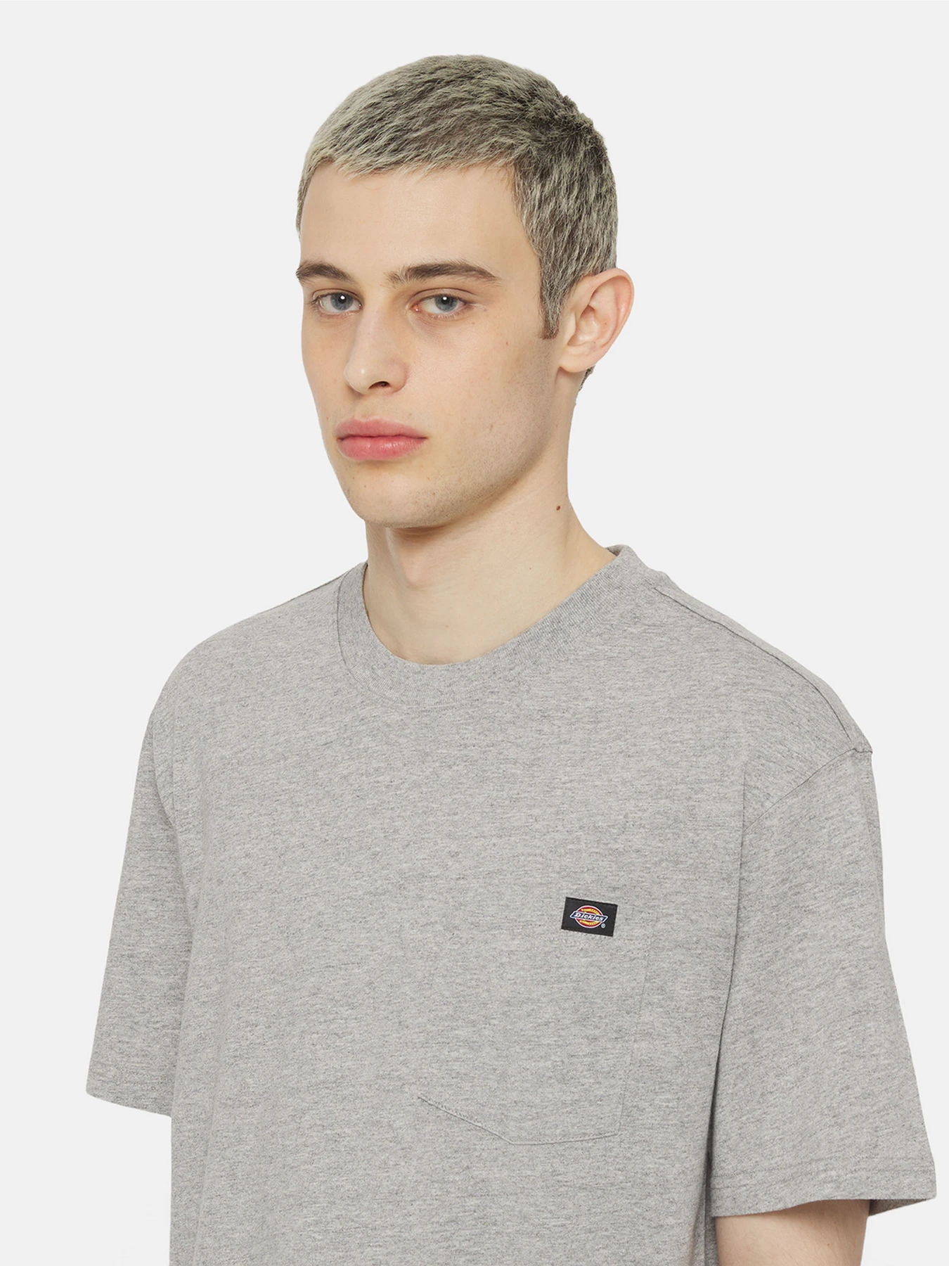 Футболки і поло Dickies Luray Pocket Ss модель DK0A4YFCGYM1 Футболки і поло Dickies Luray Pocket Ss модель DK0A4YFCGYM1 Фото