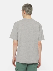 Футболки і поло Dickies Luray Pocket Ss модель DK0A4YFCGYM1 Фото