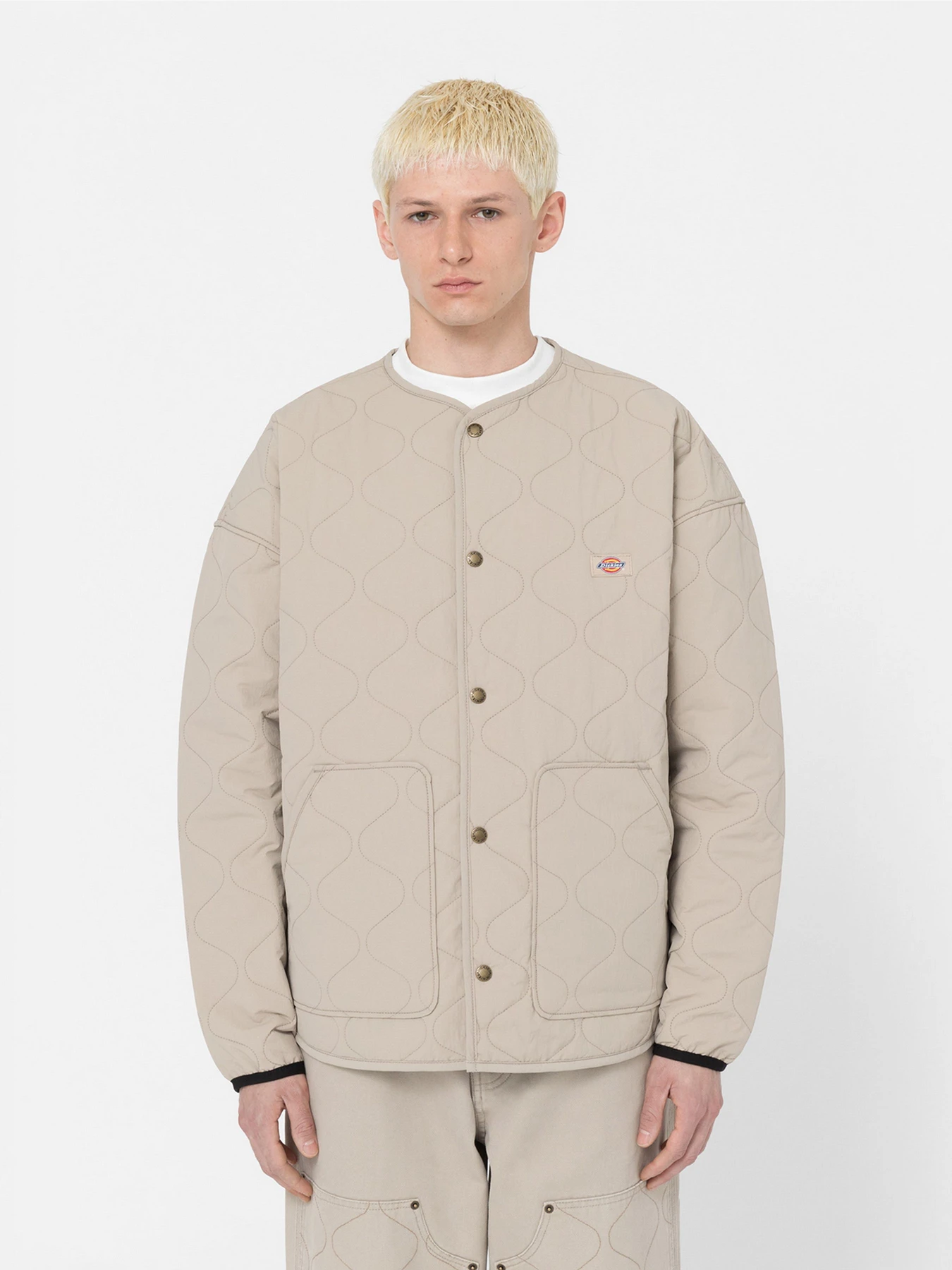 Куртки та дублянки Dickies Thorsby Liner модель DK0A4YG6SS01 Куртки та дублянки Dickies Thorsby Liner модель DK0A4YG6SS01 Фото