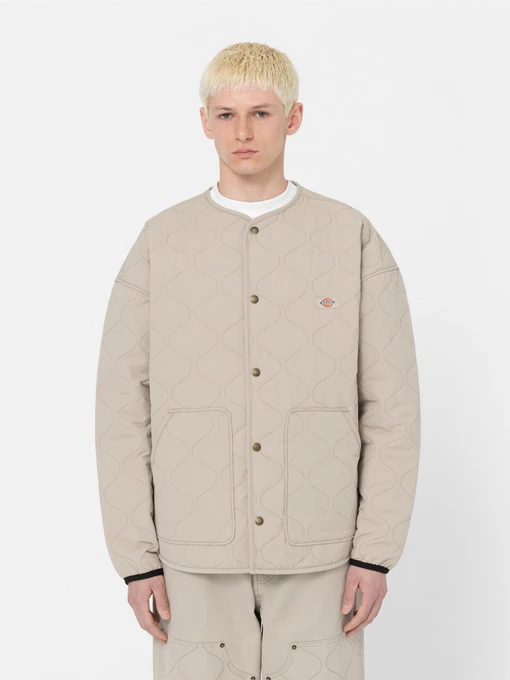 Куртки та дублянки Dickies Thorsby Liner модель DK0A4YG6SS01 Фото