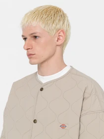 Куртки та дублянки Dickies Thorsby Liner модель DK0A4YG6SS01 Фото
