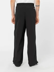 Штани Dickies Jackson Cargo модель DK0A4YLXBLK1 Фото