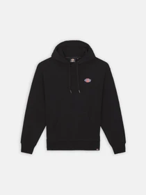 Худі та світшоти Dickies Millersburg модель DK0A4YLYBLK1 Фото