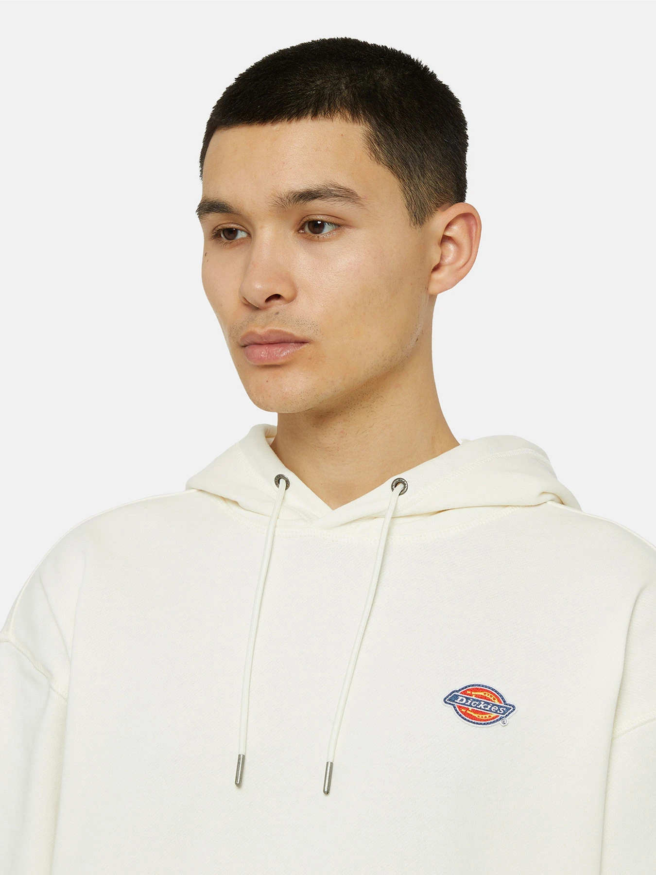 Худі та світшоти Dickies Millersburg модель DK0A4YLYECR1 Худі та світшоти Dickies Millersburg модель DK0A4YLYECR1 Фото