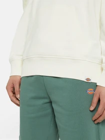 Худі та світшоти Dickies Millersburg модель DK0A4YLYECR1 Фото