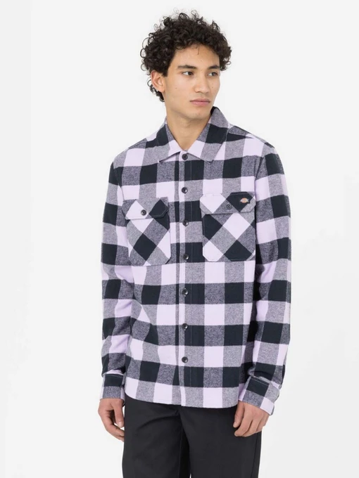 Рубашки Dickies New Sacramento модель DK0A4XDZE611 Фото