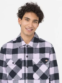 Сорочки Dickies New Sacramento модель DK0A4XDZE611 Фото