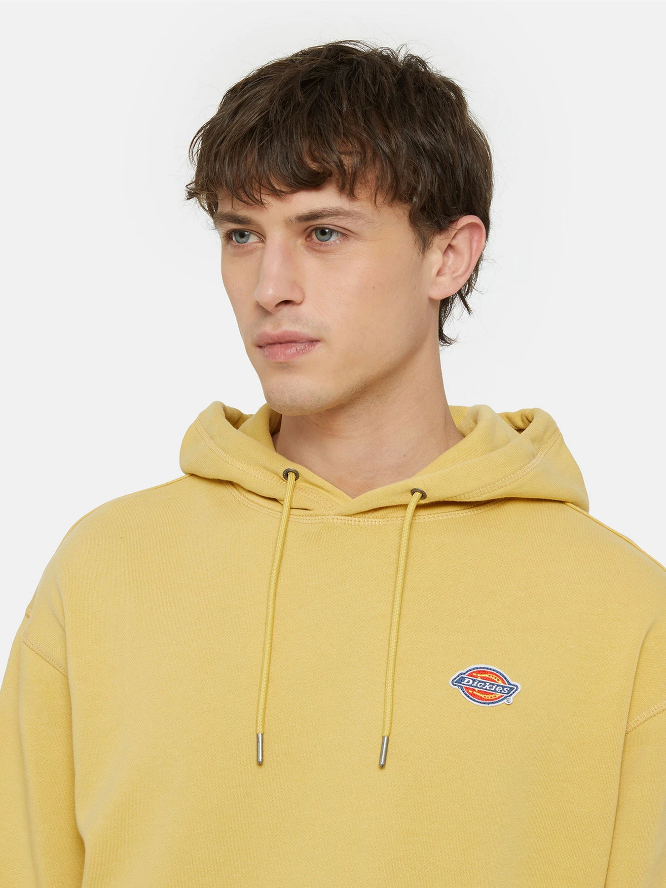 Худи и свитшоты Dickies Millersburg модель DK0A4YLYH131 Фото