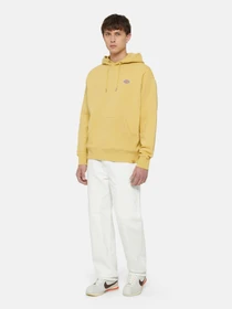 Худи и свитшоты Dickies Millersburg модель DK0A4YLYH131 Фото
