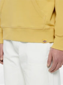 Худи и свитшоты Dickies Millersburg модель DK0A4YLYH131 Фото