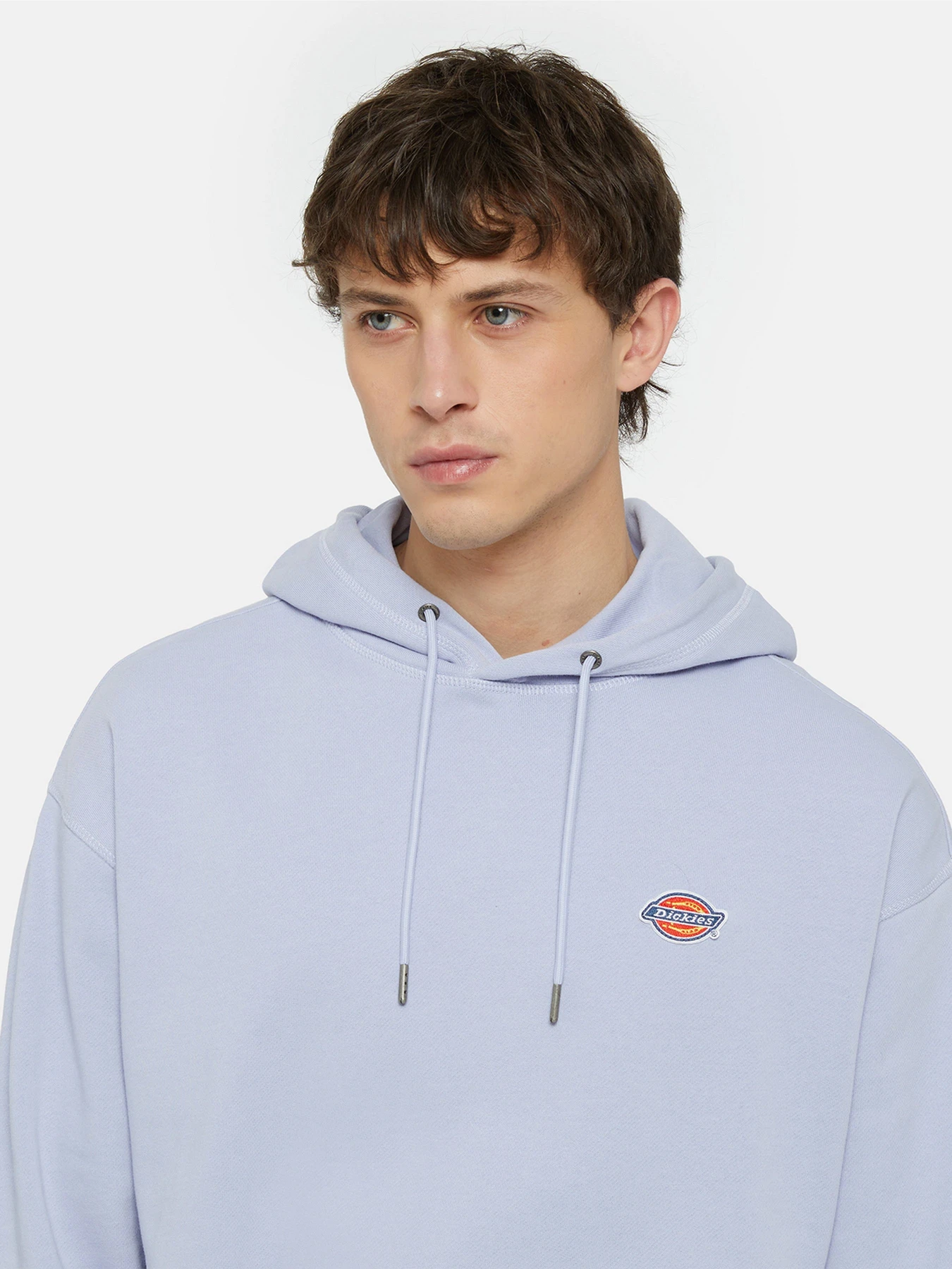 Худі та світшоти Dickies Millersburg модель DK0A4YLYH181 Худі та світшоти Dickies Millersburg модель DK0A4YLYH181 Фото