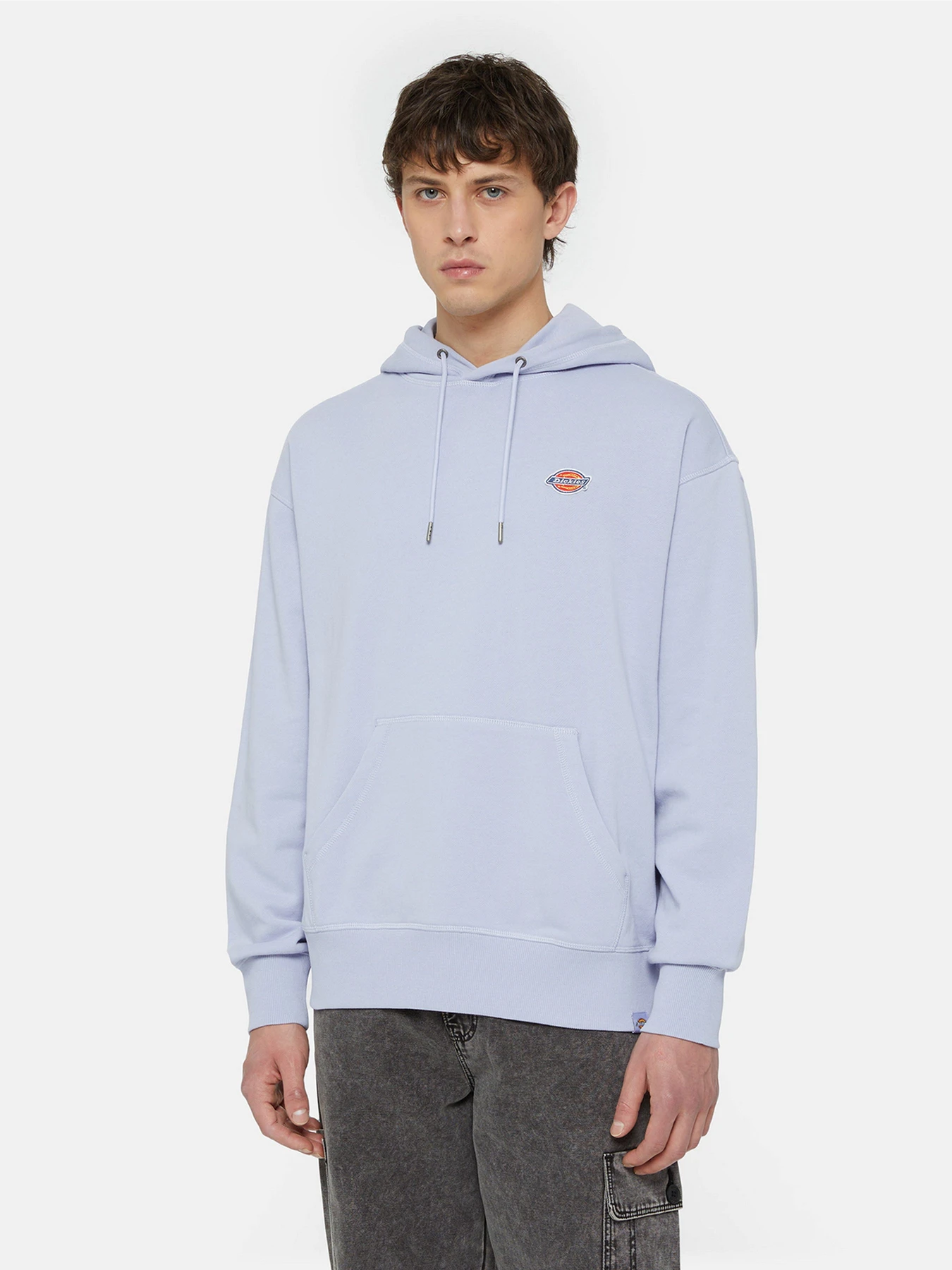 Худі та світшоти Dickies Millersburg модель DK0A4YLYH181 Худі та світшоти Dickies Millersburg модель DK0A4YLYH181 Фото