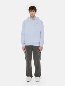 Худі та світшоти Dickies Millersburg модель DK0A4YLYH181 Фото