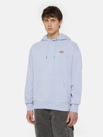 Худи и свитшоты Dickies Millersburg модель DK0A4YLYH181 Фото