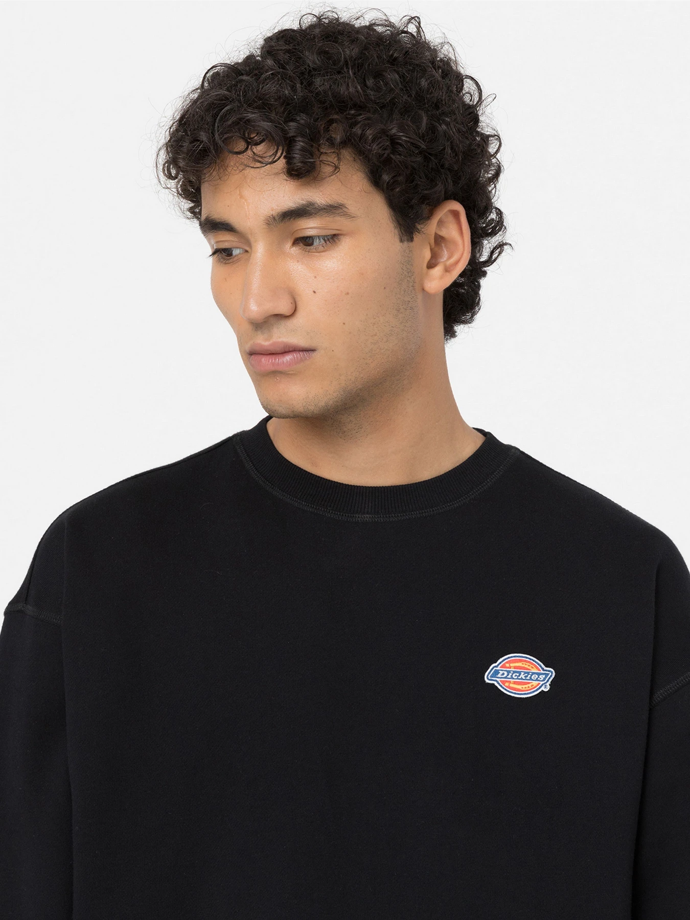 Худі та світшоти Dickies Millersburg модель DK0A4YLZBLK1 Худі та світшоти Dickies Millersburg модель DK0A4YLZBLK1 Фото