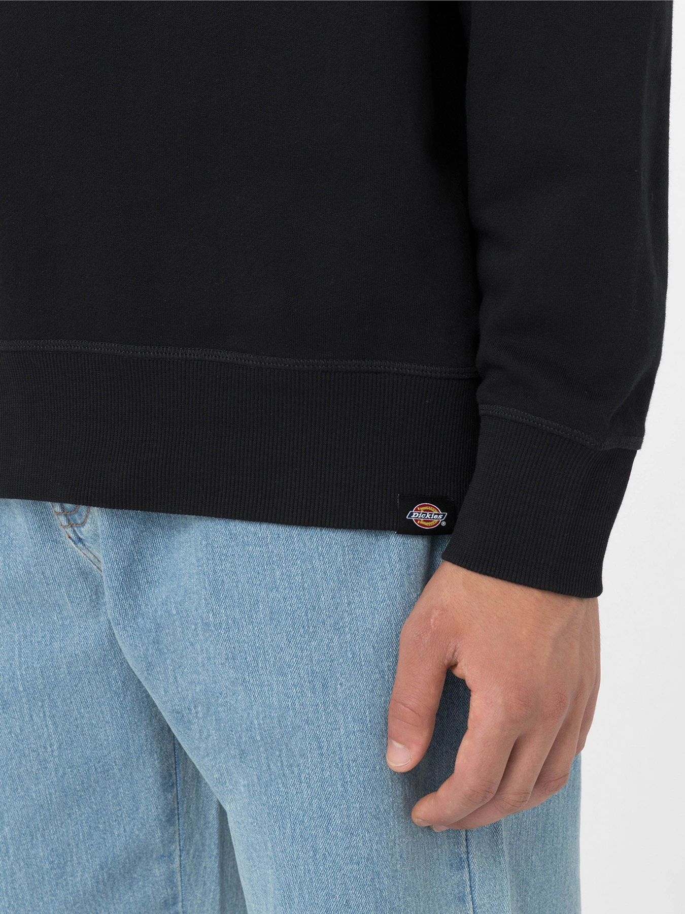 Худі та світшоти Dickies Millersburg модель DK0A4YLZBLK1 Худі та світшоти Dickies Millersburg модель DK0A4YLZBLK1 Фото
