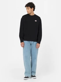 Худі та світшоти Dickies Millersburg модель DK0A4YLZBLK1 Фото