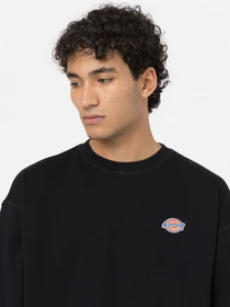 Худі та світшоти Dickies Millersburg модель DK0A4YLZBLK1 Фото