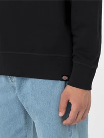 Худі та світшоти Dickies Millersburg модель DK0A4YLZBLK1 Фото
