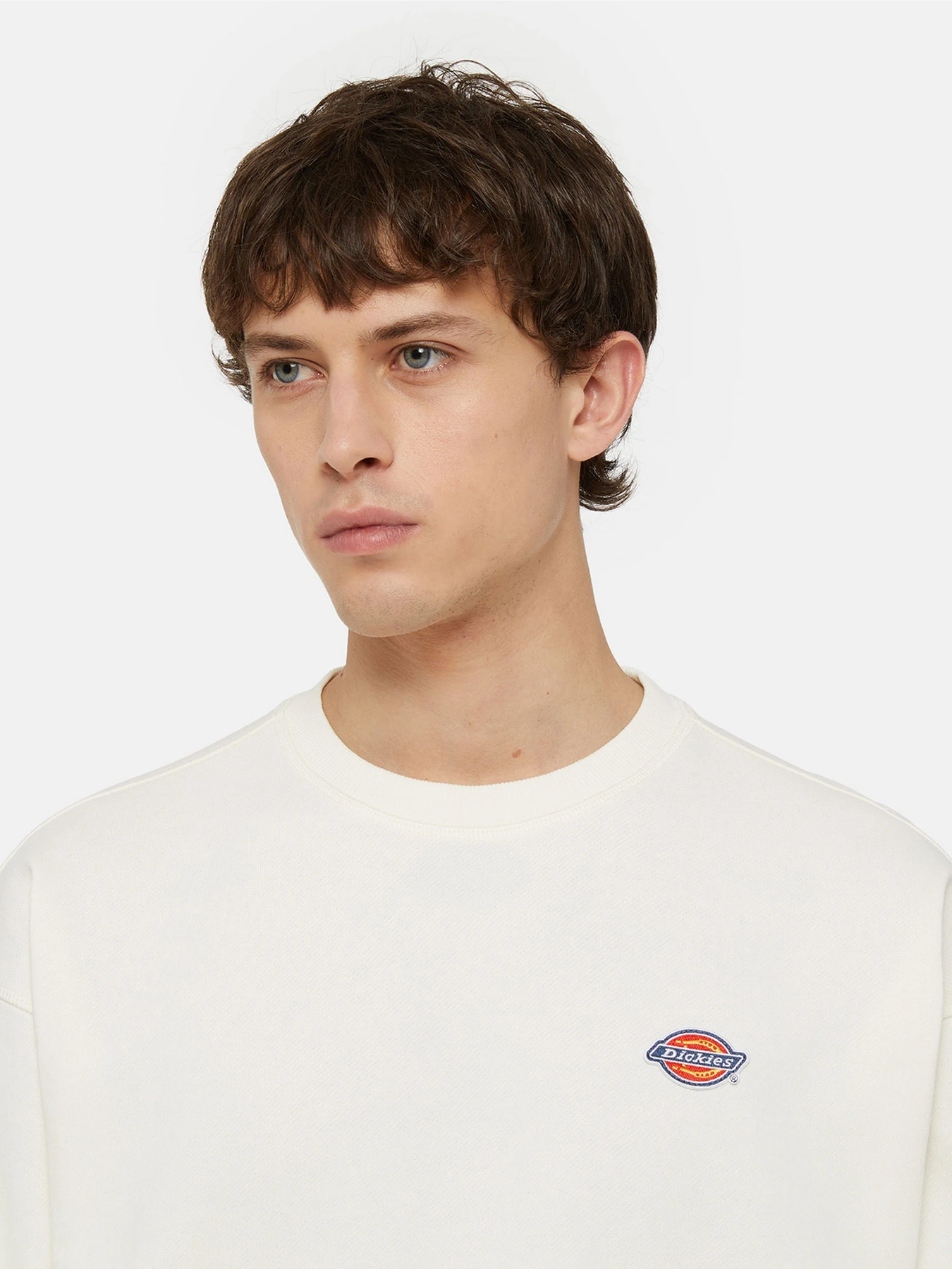 Худи и свитшоты Dickies Millersburg модель DK0A4YLZECR1 Худи и свитшоты Dickies Millersburg модель DK0A4YLZECR1 Фото