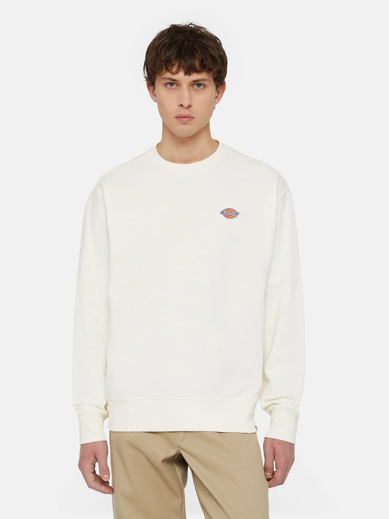 Худи и свитшоты Dickies Millersburg модель DK0A4YLZECR1 Худи и свитшоты Dickies Millersburg модель DK0A4YLZECR1 Фото