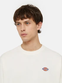 Худи и свитшоты Dickies Millersburg модель DK0A4YLZECR1 Фото