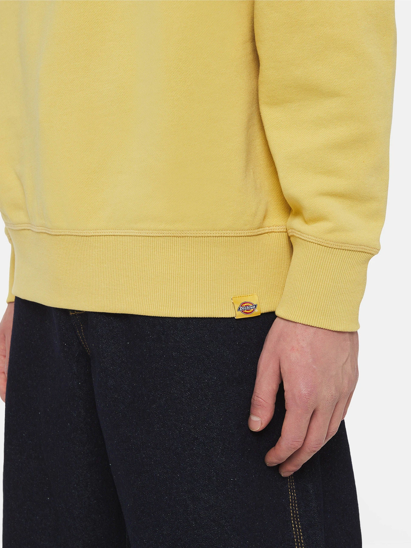 Худі та світшоти Dickies Millersburg модель DK0A4YLZH131 Худі та світшоти Dickies Millersburg модель DK0A4YLZH131 Фото