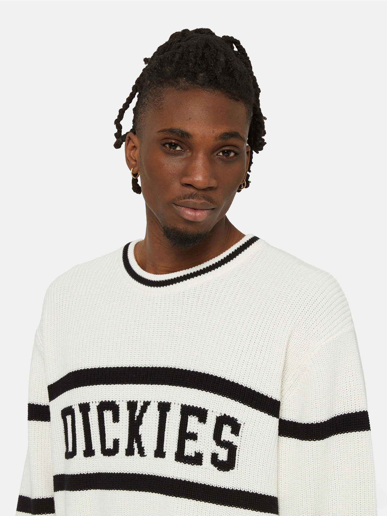 Светри та кардигани Dickies Melvern Seater модель DK0A4YMCC581 Светри та кардигани Dickies Melvern Seater модель DK0A4YMCC581 Фото