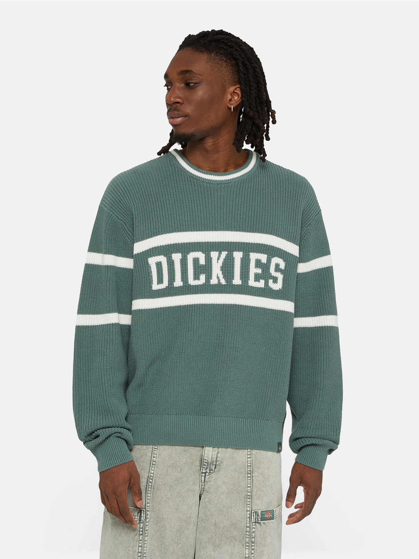 Светри та кардигани Dickies Melvern Seater модель DK0A4YMCH151 Светри та кардигани Dickies Melvern Seater модель DK0A4YMCH151 Фото