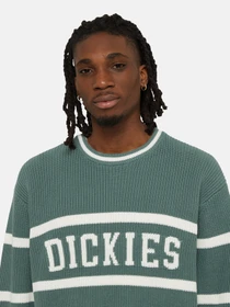 Светри та кардигани Dickies Melvern Seater модель DK0A4YMCH151 Фото