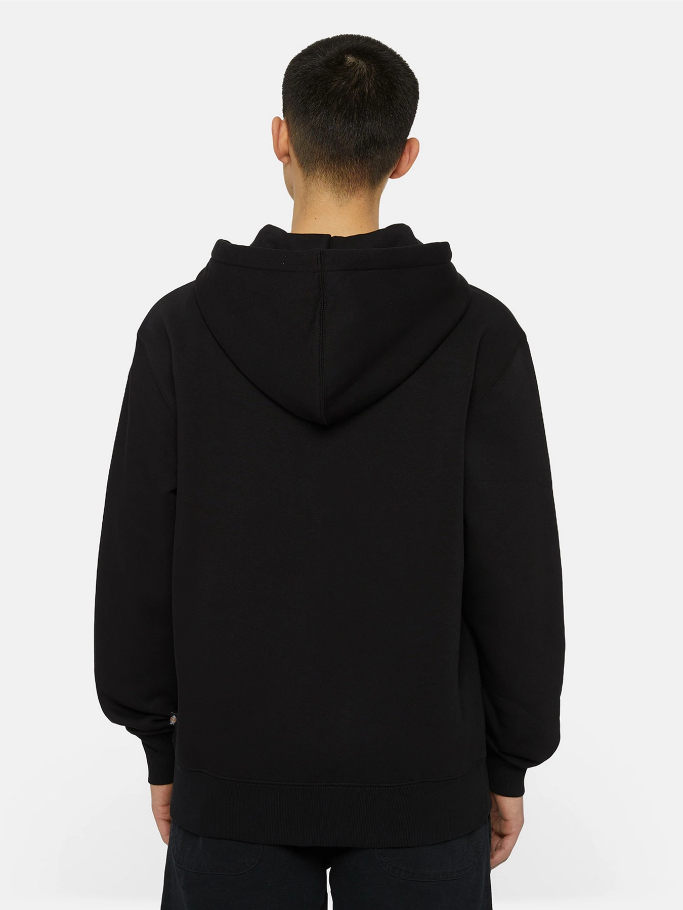 Худи и свитшоты Dickies Summerdale Zip Through модель DK0A4YQABLK1 Фото