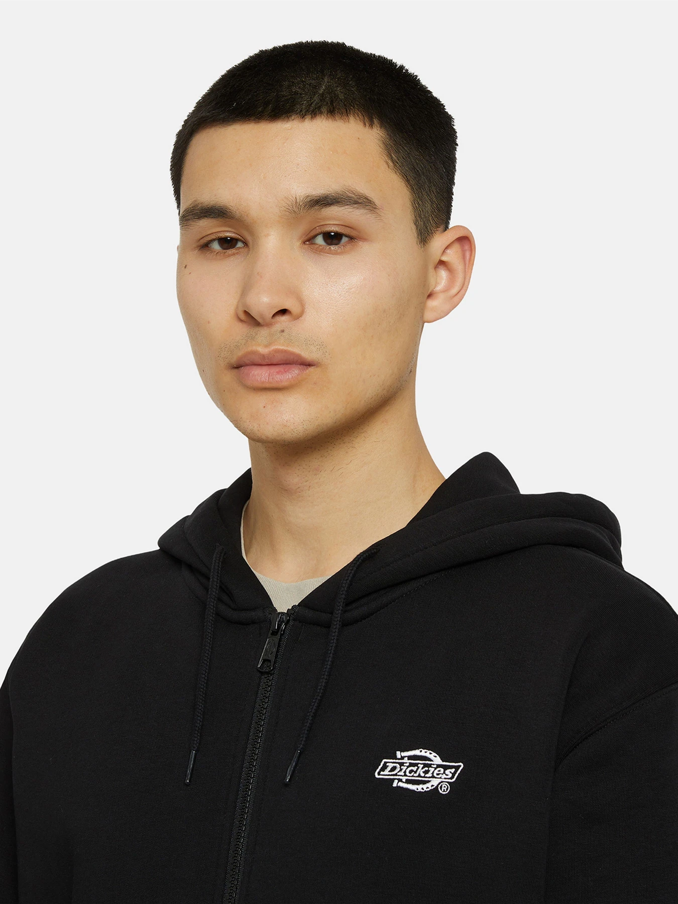 Худи и свитшоты Dickies Summerdale Zip Through модель DK0A4YQABLK1 Фото