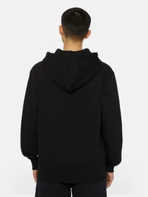 Худи и свитшоты Dickies Summerdale Zip Through модель DK0A4YQABLK1 Фото