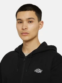 Худи и свитшоты Dickies Summerdale Zip Through модель DK0A4YQABLK1 Фото