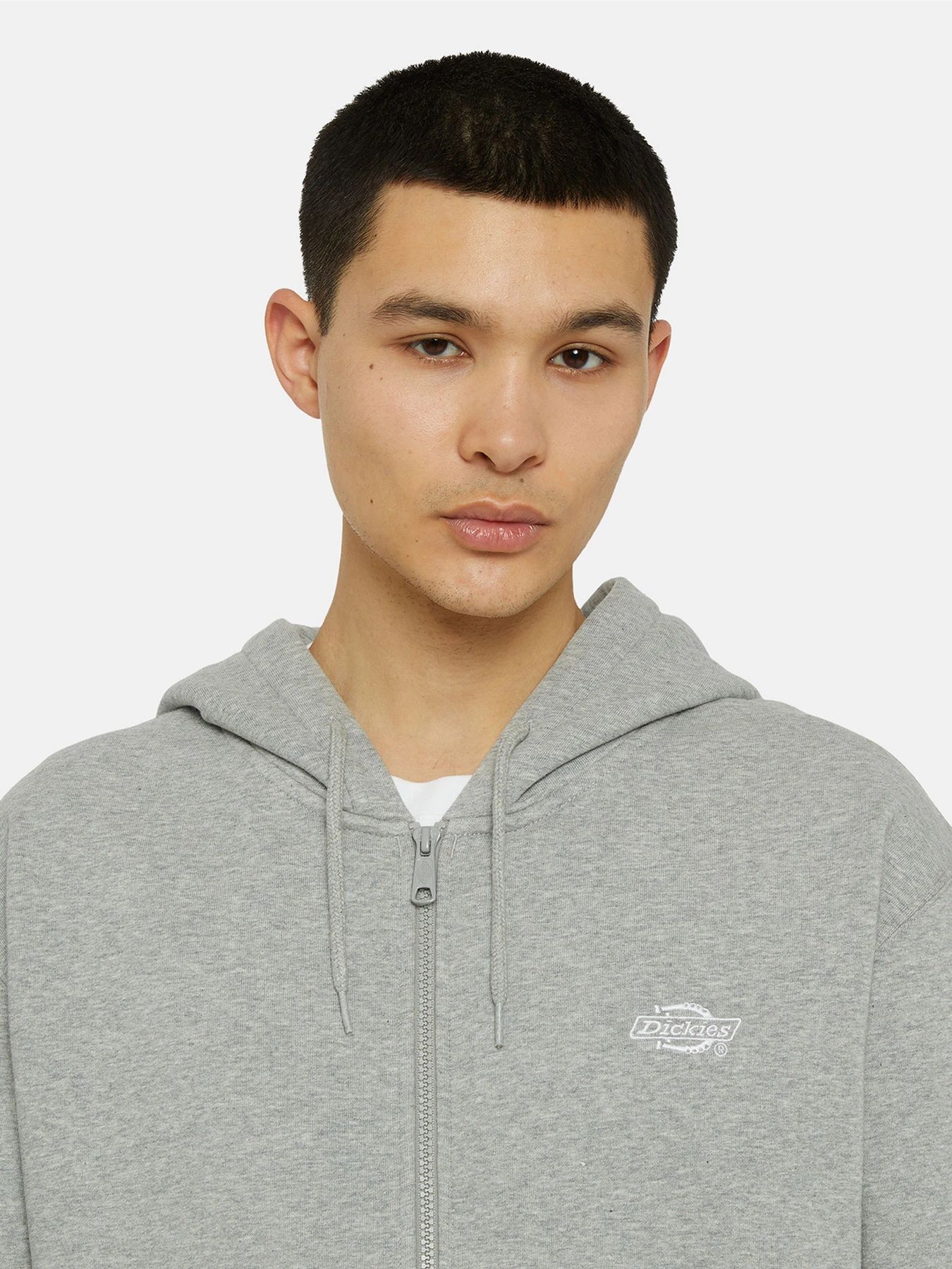 Худи и свитшоты Dickies Summerdale Zip Through модель DK0A4YQAGYM1 Худи и свитшоты Dickies Summerdale Zip Through модель DK0A4YQAGYM1 Фото