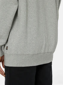 Худи и свитшоты Dickies Summerdale Zip Through модель DK0A4YQAGYM1 Фото