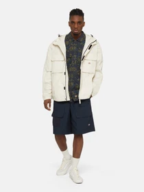 Куртки и дубленки Dickies Fishersville модель DK0A4YQJF901 Фото