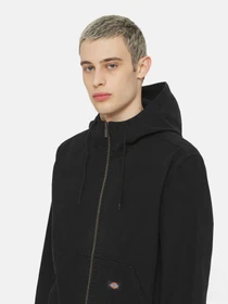 Худи и свитшоты Dickies Dc Hooded Unl модель DK0A4YQLC401 Фото