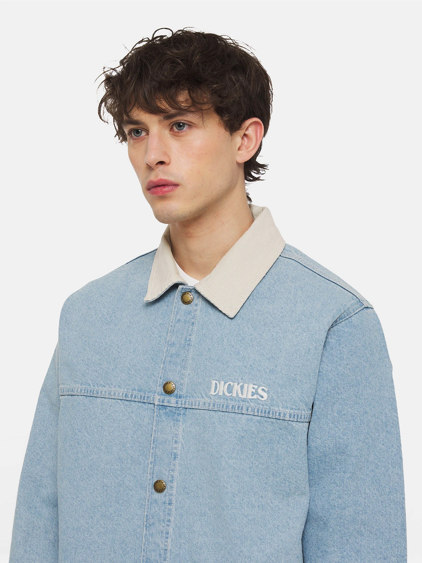 Куртки и дубленки Dickies Herndon модель DK0A4YQMC151 Фото