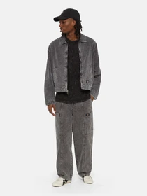 Куртки та дублянки Dickies Neington модель DK0A4YQNH861 Фото