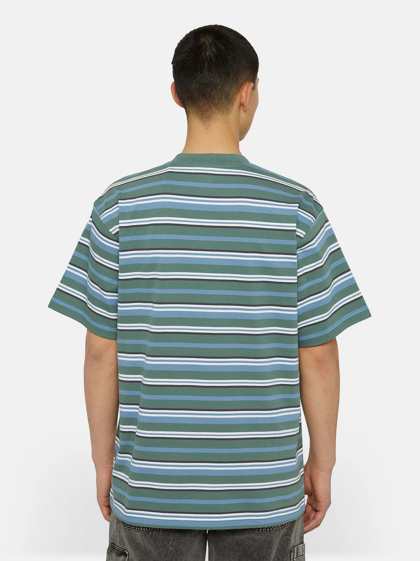 Футболки і поло Dickies Glade Spring Ss модель DK0A4YR1H591 Футболки і поло Dickies Glade Spring Ss модель DK0A4YR1H591 Фото
