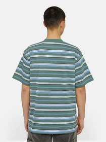 Футболки і поло Dickies Glade Spring Ss модель DK0A4YR1H591 Фото
